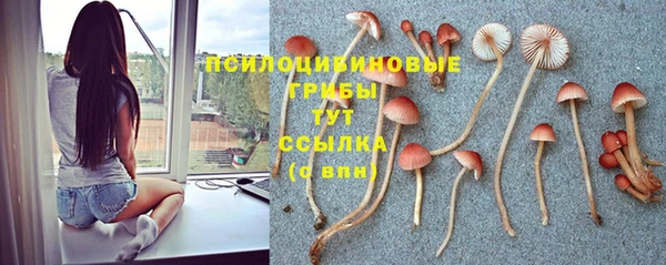 мет Горно-Алтайск