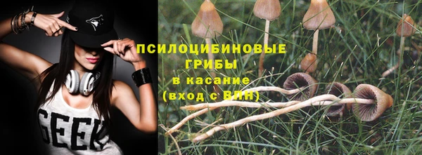 мет Горно-Алтайск
